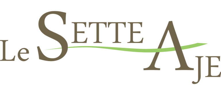 logo main